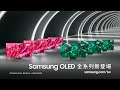 SAMSUNG三星 55吋 4K OLED聯網顯示器 QA55S95C product youtube thumbnail