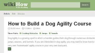 How-To Design A Dog Agility Course