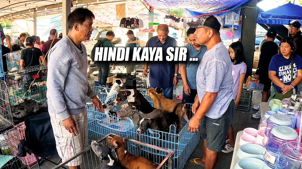 Hindi Kinaya ang PRESYO ng BUYER