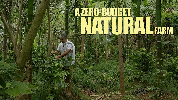 Why this engineer left his job to build an organic farm in Mysore