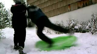 sledding bails