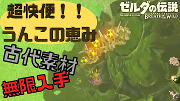 無限金稼ぎ 最新版 うんこの恵み が序盤で超簡単にできるようになった 無限ルピー 無限古代素材ができるバグ解説 ゼルダの伝説 ブレスオブザワイルド Mp3 無限金稼ぎ 最新版 うんこの恵み が序盤で超簡単にできるようになった 無限ルピー 無限古代素材ができるバグ解説 ゼルダの伝説 ブレスオブザワイルド Mp3