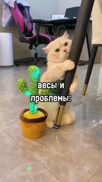 #юмор - YouTube