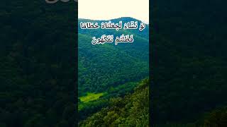 🌳#quranrecitation #elhamdülillah #egzonibrahimi #rahman #rahim #allah #nature