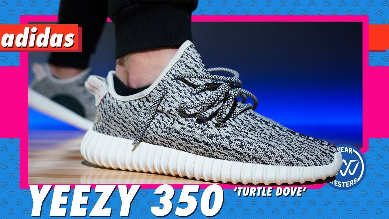 adidas Turtle Dove 2022 -