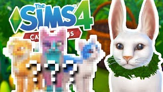 More Colorful Easter Bunny Kitten Suprises!!