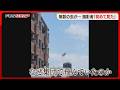空を舞う大群の正体は 撮影者「初めて見た」 専門家「そっと離れて」 福岡