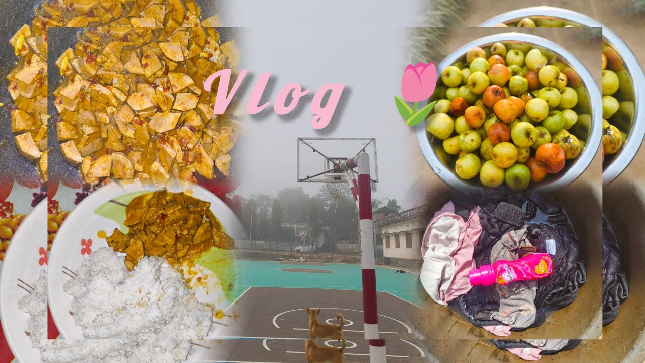 Day in mylife #jackfruit#recipe#northeastindia#saibual 