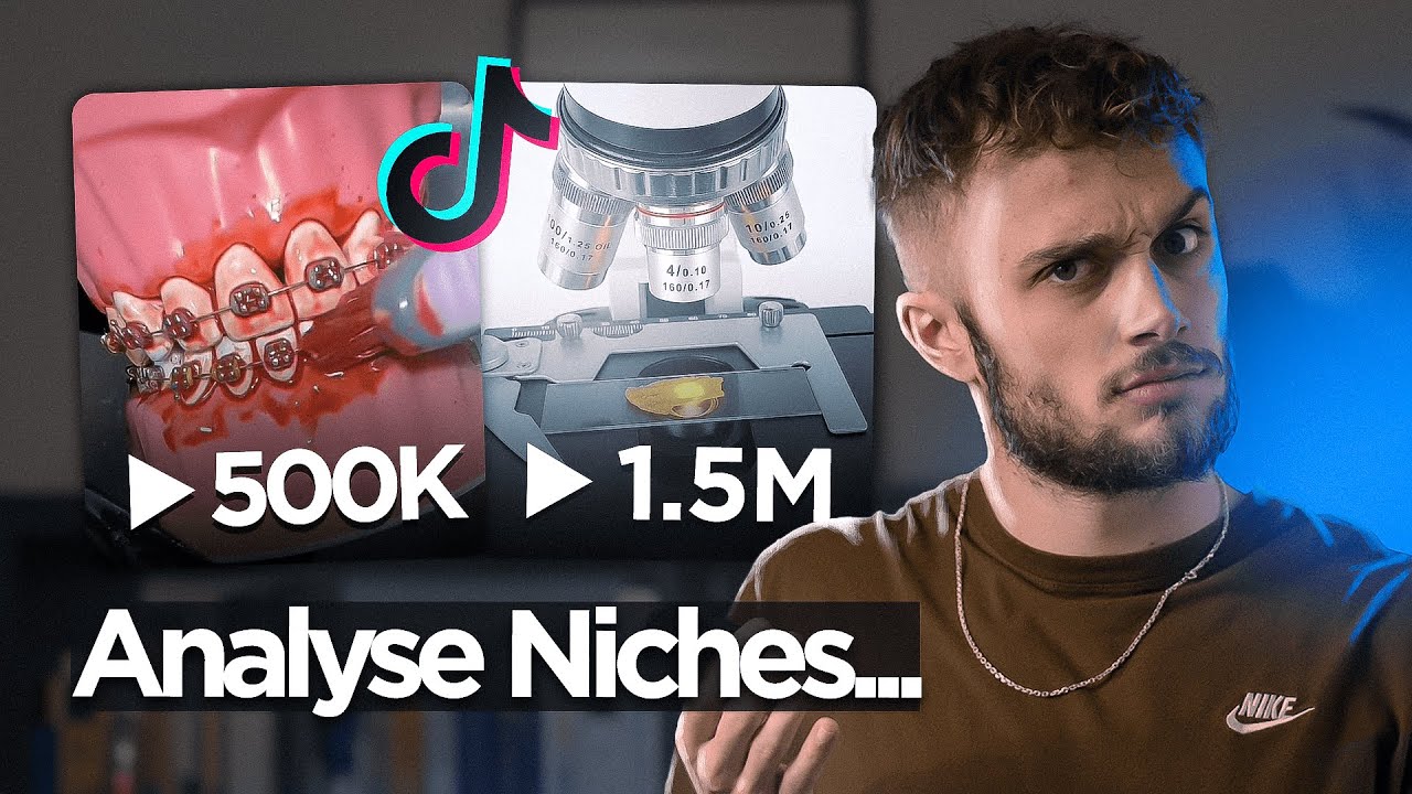 Je note les 10 Meilleures Niches sur Tiktok en 2024 — Transcript