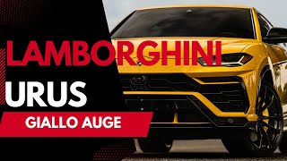 2019 Lamborghini Urus GIALLO AUGE FINISH! BANG & OLUFSEN PREMIUM SOUND! HOT COLOR COMBO! LOADED!