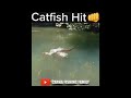 Catfish Hit the Whopper Plopper 👊🎣 #fishing #whopperplopper #silure #shorts