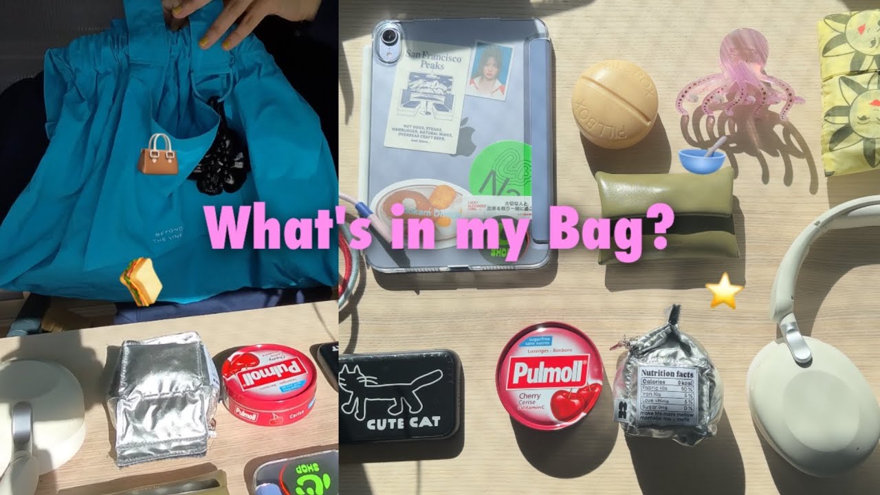 バッグの中身2025⭐️
