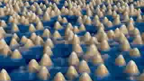 Atomic memory Si(111)5x2-Au