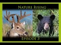 Natue Rising Episode 3 - Wildlife Photography  -  Bucks and a Bear