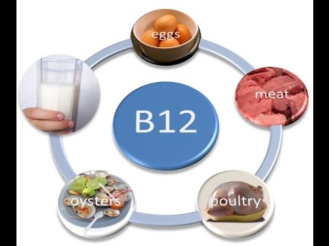 ויטמין B12 ויטמינים פעילות ואנלוגים