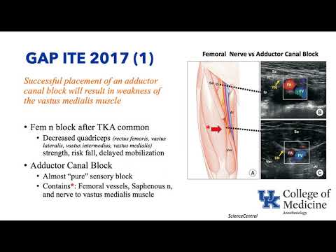 gaps-in-knowledge-2017-2018-dr.-schell