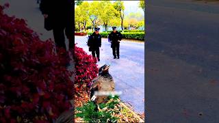 Ayatul Kursi Surah Quran Tilawat