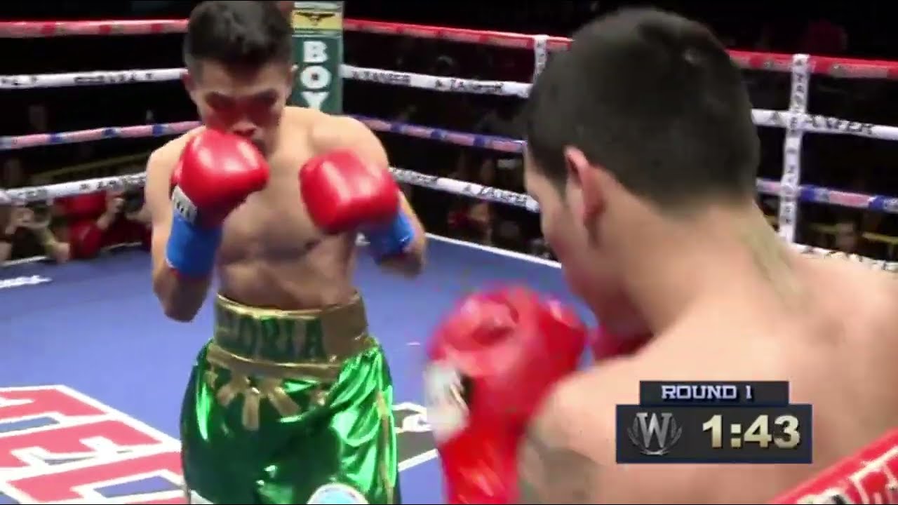 Brian Viloria vs Hernan 'Tyson' Marquez  *WBO 112lb title* [17-11-2012] 