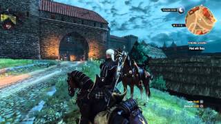 The Witcher 3: Wild Hunt - Double Roche Glitch