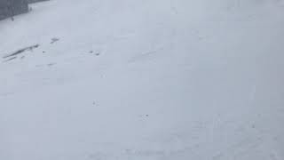 IMG 16521