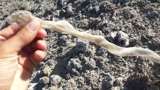 Yılan Derisi Bir Metreye Yakın