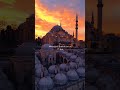 يارسول الله قلبي 🤍🎧🤎