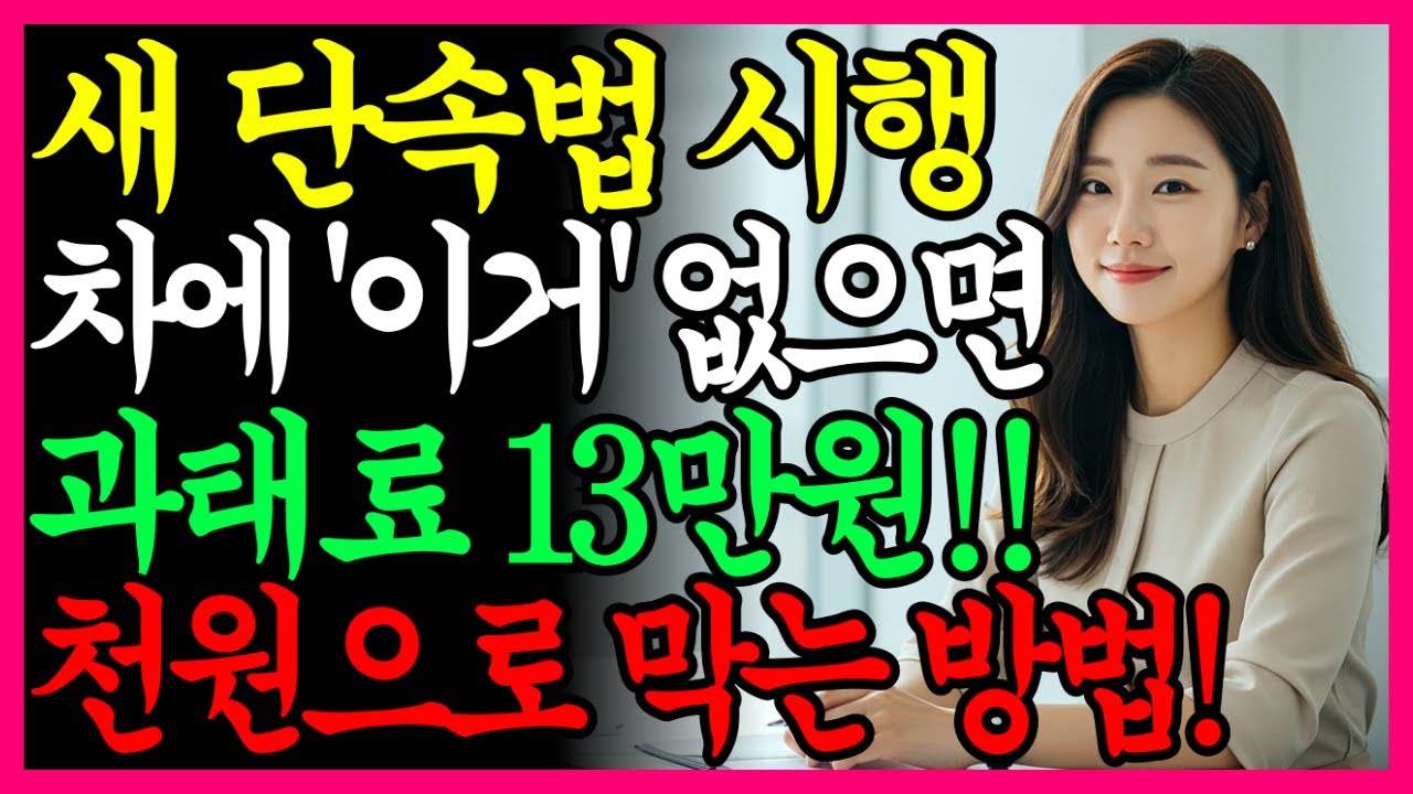 다이소 '7가지 필수템' 없으면 벌금·벌점 폭탄 터집니다|50대 이상 운전자 생존 가이드