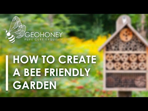 Tipps Für Einen Bienenfreundlichen Garten So Gestalten Sie Ihren