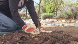 How to Cross-Pollinate Fruit Trees