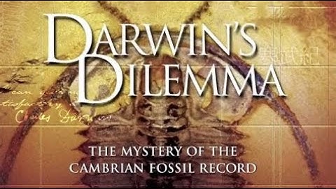 Darwin’s Dilemma: The Mystery of The Cambrian Fossil Record