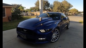 How to Install Switchback Turn Signal and Side Marker LEDs in 2015-2017 Mustang from Diode Dynamics