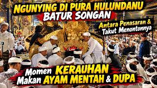 Ngunying Pura Hulundanu Batur Songan | Antara Penasaran & Takut Saat Momen Makan Ayam Mentah & Dupa