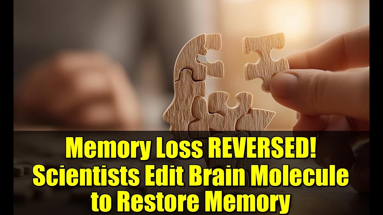 Memory Loss REVERSED! Scientists Edit Brain Molecule to Restore Memory