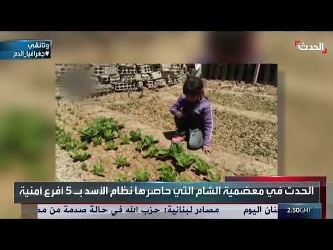 حصار خانق في اليمن: معاناة وموت بسبب نقص الغذاء