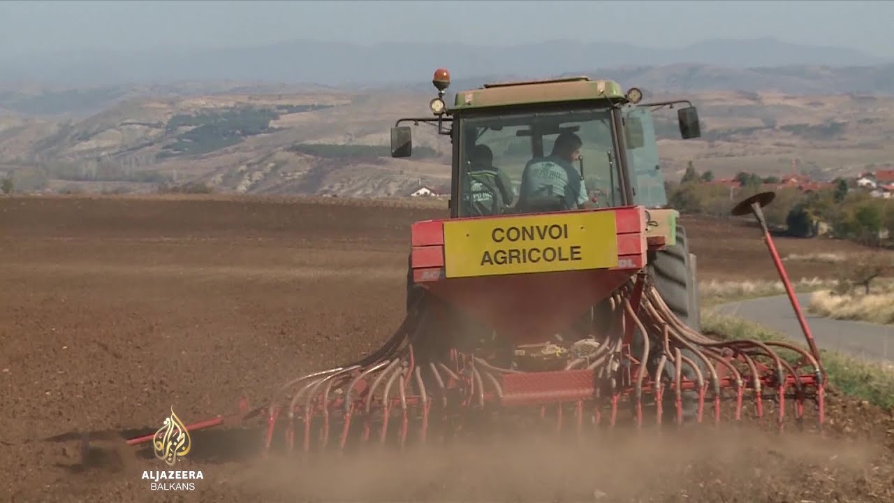 S. Makedonija želi povećati proizvodnju žitarica
