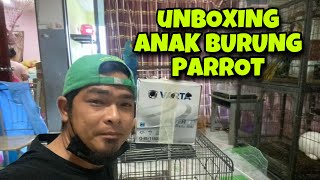 UNBOXING BURUNG BARU UNTUK TAMBAH KOLEKSI BURUNG FREE FLY BETTA G MELAKA