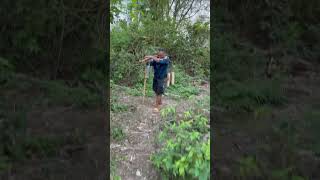 The Adventure of Climbing Palm Trees​ is the Khmer traditional sugar palm #bamboo #coconut