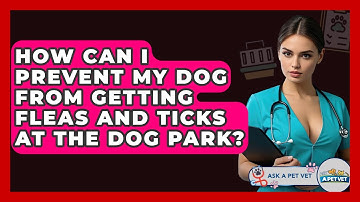 How Can I Prevent My Dog From Getting Fleas And Ticks At The Dog Park? - Ask A Pet Vet