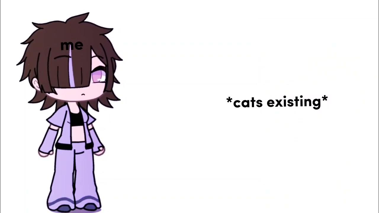 my-love-for-cats-youtube
