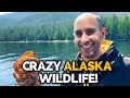 Alaska Unleashed: From Crab Catching to Eagle Spotting - An Adventure You Can&#39;t Miss!