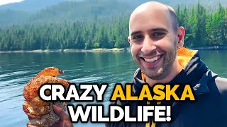 Inside Alaska’s Beauty: Ketchikan’s Wildlife & Coastal Charm