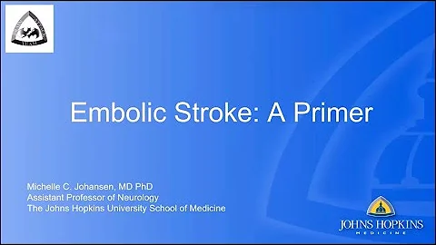 Embolic Stroke: A Primer | Dr. Michelle Johansen