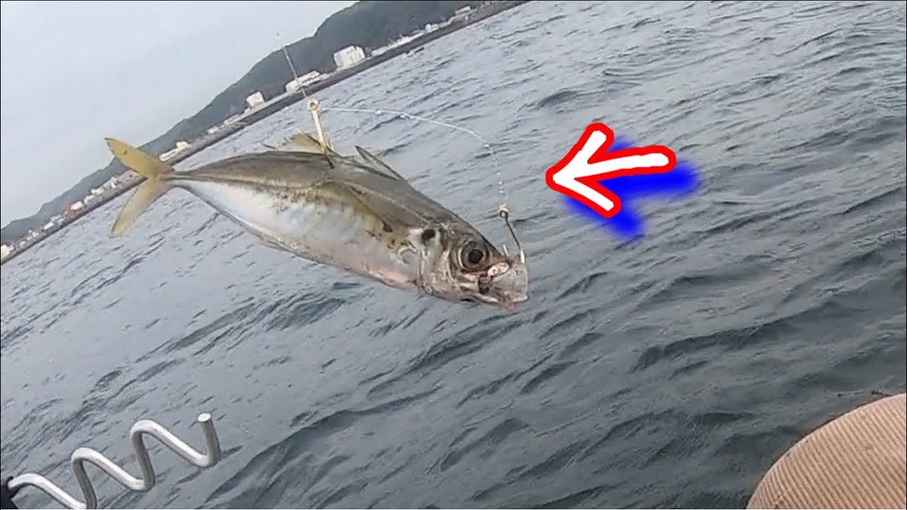 サビキで釣ったアジを泳がせながら ルアーで青物とマゴチ ヒラメを狙いつつ エサ釣りもやっていたら突然泳がせの竿がブチ曲がった 小佐ボート Youtube