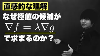 ラグランジュの未定乗数法の気持ち【条件付き極値問題】