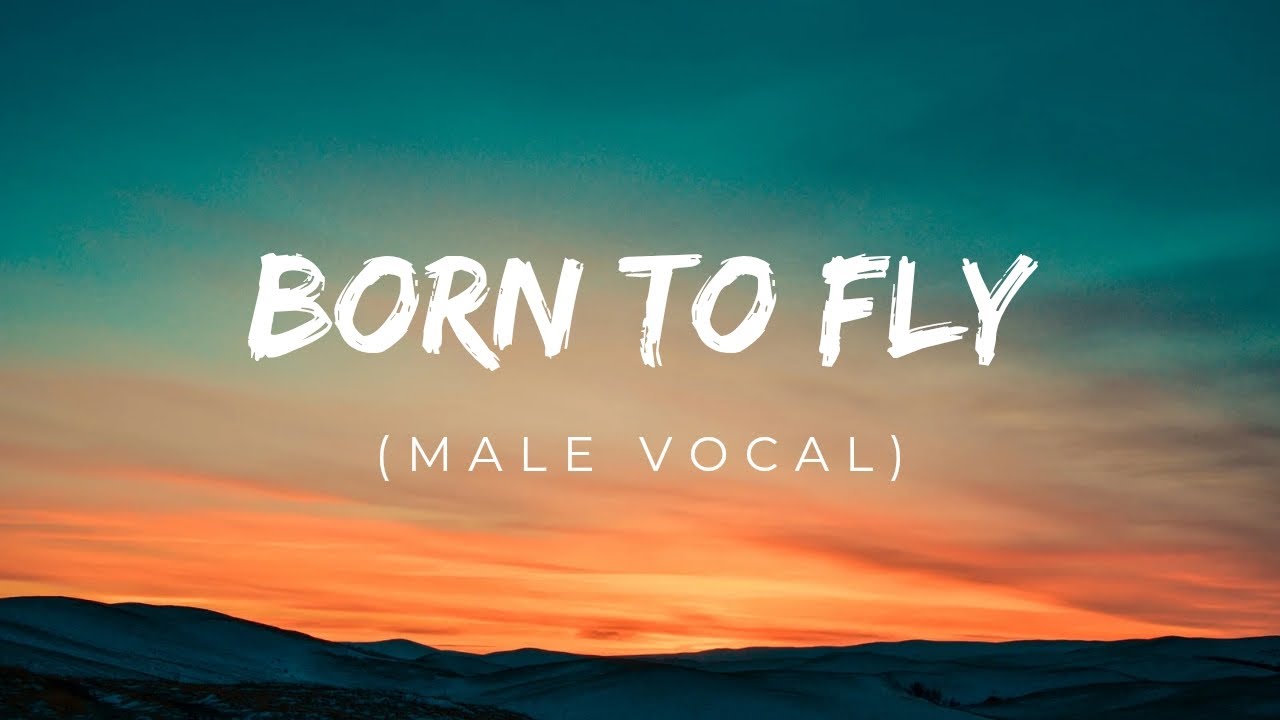 BORN TO FLY (VERSION 2) | MALE VOCAL | OFFICIAL MUSIC VIDEO - YouTube