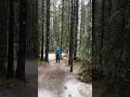 Mist creek trail - Oct 2025.  Snow then torrential rain.
