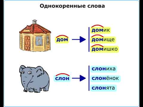 Однокоренные слова | Родственные слова