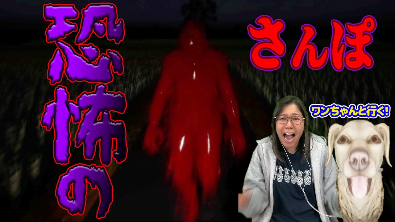 【ママ】夜の田んぼで散歩するだけなのに怖すぎる！！【たんぼ】