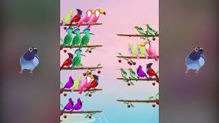 Bird Sort 68 (16-9)