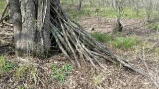 Taking a Walk at The Old Property Homestead and Camp